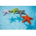 STARFISH S 83 Etoile coussin 